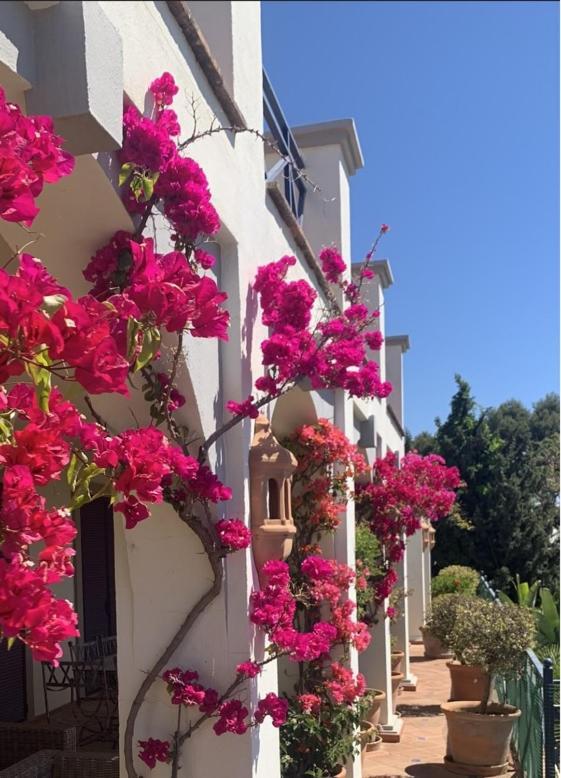 Boutique Hotel Maravilla - Marbella Benahavis Luaran gambar