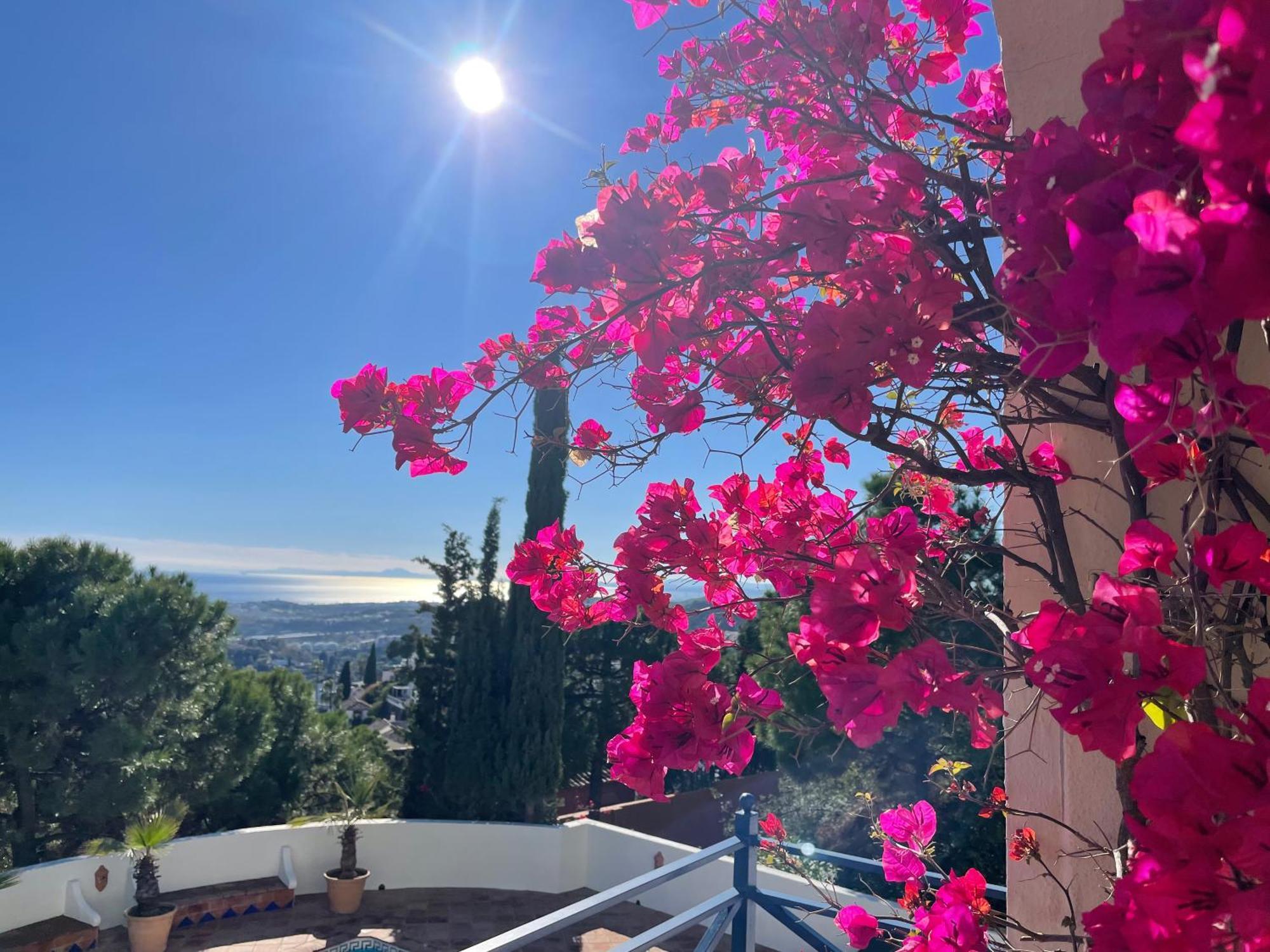 Boutique Hotel Maravilla - Marbella Benahavis Luaran gambar