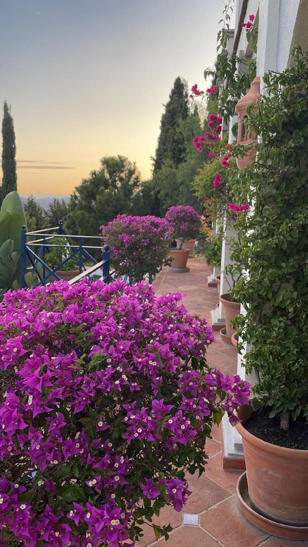 Boutique Hotel Maravilla - Marbella Benahavis Luaran gambar